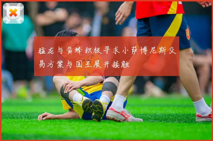 猛龙与黄蜂积极寻求小萨博尼斯交易方案与国王展开接触