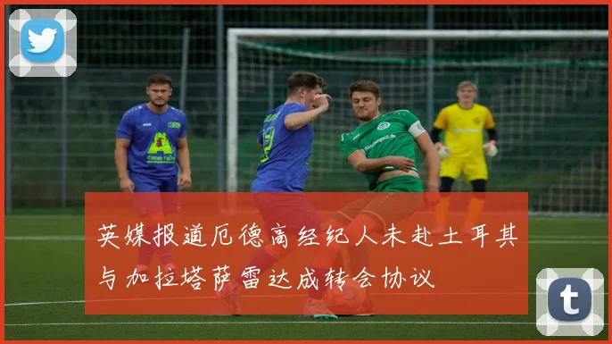英媒报道厄德高经纪人未赴土耳其与加拉塔萨雷达成转会协议